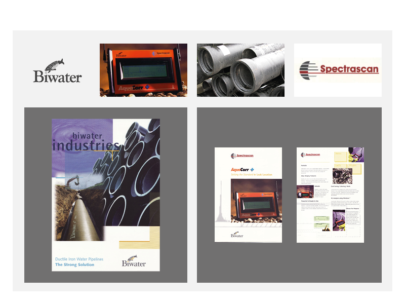 Biwater_case_study