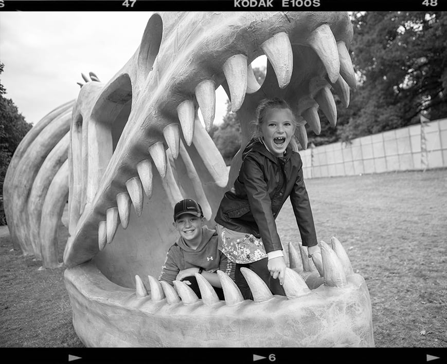 DinoKing01