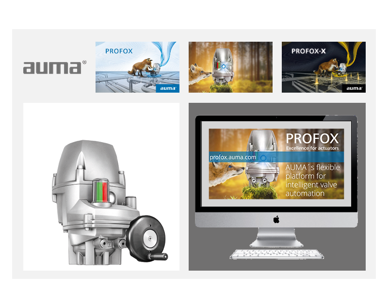 PROFOX_case_study